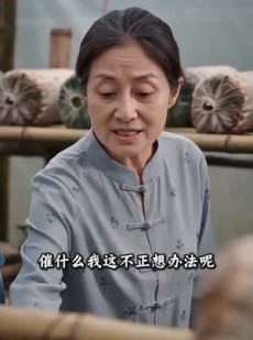短剧《凤凰归来，我带领全村致富》63集短剧超清画质免费看全集