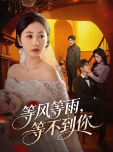 短剧《等风等雨，等不到你》65集短剧1080P在线免费看