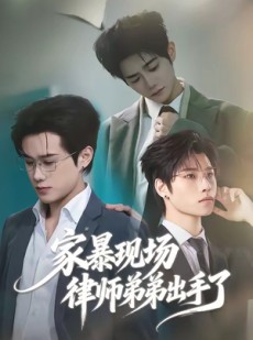 短剧《家暴现场律师弟弟出手了》30集短剧在线解锁全集看