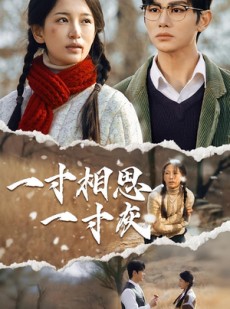 短剧《一寸相思一寸灰》43集短剧1080P高清免费观看