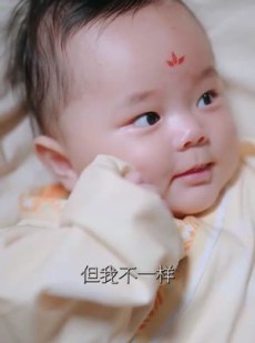 短剧《被偷听心声后！全皇朝宠我》65集短剧全集高清极速播放