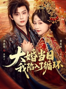 短剧《大婚当日，我陷入了循环》67集短剧免费观看完整剧情