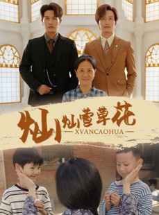 短剧《灿灿萱草花》72集短剧蓝光画质无障碍观看