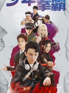 短剧《少年拳霸》60集短剧全集高清不卡顿观看
