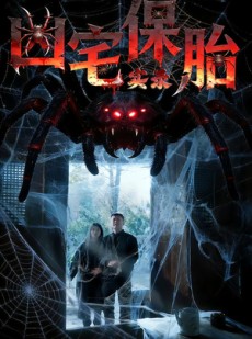短剧《凶宅保胎实录》64集短剧1080P在线免费观赏