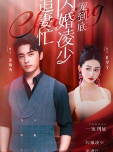 短剧《一宠到底，闪婚凌少追妻忙》94集短剧蓝光画质极速观看