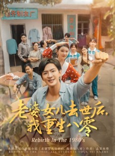 短剧《老婆女儿去世后我重生八零》81集短剧1080P高清画质在线观看