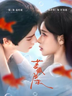 短剧《蔷薇坠落》94集短剧在线解锁全集畅快看