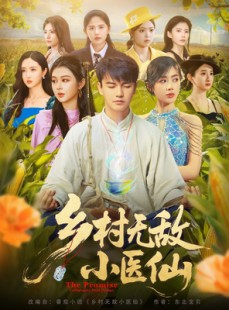 短剧《乡村无敌小医仙》87集短剧全集高清极速随心看
