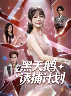 短剧《黑天鹅诱捕计划》81集短剧在线高清全集免费赏