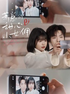 短剧《萧总的甜心小女佣》90集短剧全集无广告流畅播放