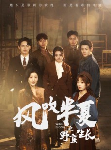 短剧《风吹半夏之野蛮生长》59集短剧高清流畅在线免费看