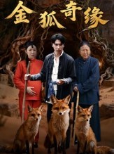 短剧《金狐奇缘》42集短剧1080P超清画质在线畅看
