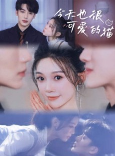 短剧《今天也很可爱的猫》72集短剧全集在线观看无删减