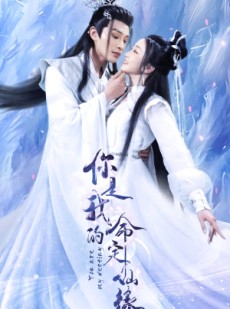 短剧《你是我的命定仙缘》59集短剧全集无广告在线畅看