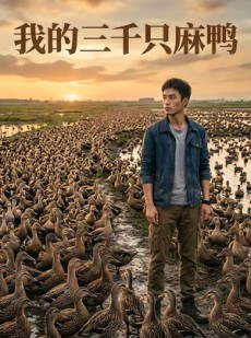 短剧《我的三千只麻鸭》39集短剧免费在线看全集