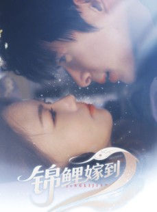 短剧《锦鲤嫁到》67集短剧独家版权在线高清观看