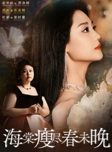 短剧《海棠瘦尽春未晚》62集短剧1080P高清在线观影