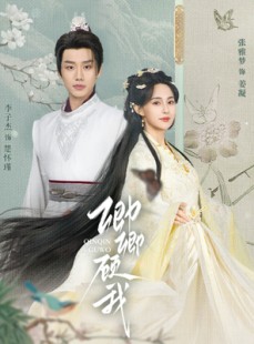 短剧《卿卿顾我》70集短剧高清流畅在线免费观看