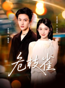 短剧《危枝雀》64集短剧在线解锁全集观看