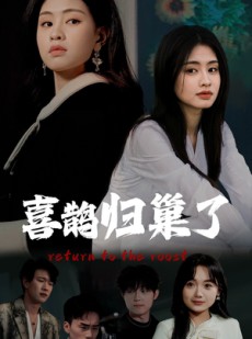 短剧《喜鹊归巢了》60集短剧全集免费下载观看
