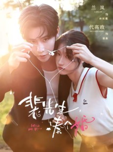 短剧《裴先生，凑个婚》75集短剧1080P免费看全集