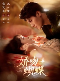 短剧《娇吻蝴蝶》68集短剧超清画质一键看全集