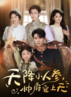 短剧《天降小人参，帅府宠上天》83集短剧1080P超清免费追剧