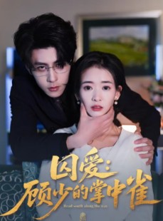 短剧《囚爱：顾少的掌中雀》70集短剧在线免费观看完整剧情