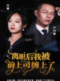 短剧《离职后，我被前上司缠上了》100集短剧蓝光画质无广告观看