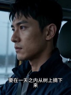 短剧《在一又在二》31集短剧1080P在线免费看