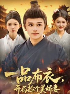短剧《一品布衣，开局捡个美娇妻》93集短剧在线观看全集不卡顿