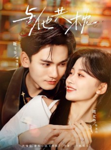 短剧《与他共枕》81集短剧完整版免费畅享观看