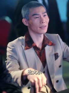 短剧《乡野技师：靠一双手征服大老卷》80集短剧超清画质在线追剧