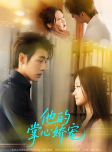 短剧《他的掌心娇宠》60集短剧无广告在线畅看