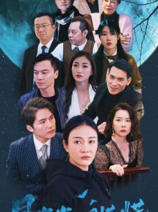 短剧《月光光心慌慌》70集短剧高清流畅在线免费观看