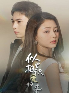 短剧《似曾相识爱归来》77集短剧全集无删减在线享