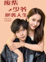 短剧《废柴少爷的逆袭人生》75集短剧高清无广告免费看