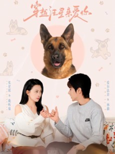 短剧《穿越汪星来爱你》62集短剧在线解锁全集观看
