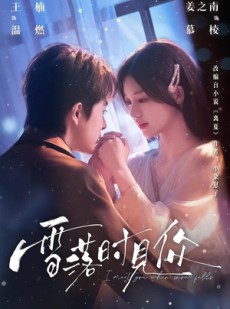 短剧《雪落时见你》93集短剧高清无广告在线观看