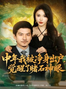 短剧《中年我被净身出户，觉醒了赌石神眼》80集短剧高清无删减在线观看