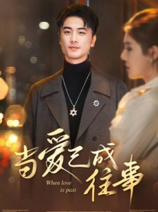 短剧《当爱已成往事》30集短剧1080P高清免费看