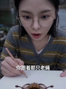 短剧《让四害当线人后，她成重案组团宠》60集短剧超清画质免费畅享