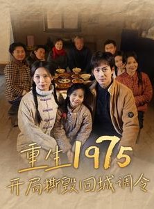 短剧《重生1975开局撕毁回城调令》83集短剧高清流畅在线观看