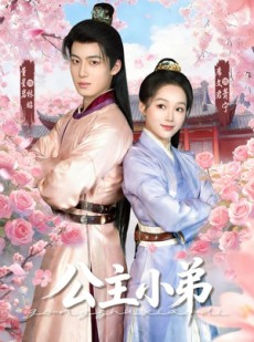 短剧《公主小弟》74集短剧在线观看全集不卡顿