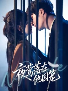 短剧《夜莺落在他囚笼》74集短剧完整版免费畅享观看