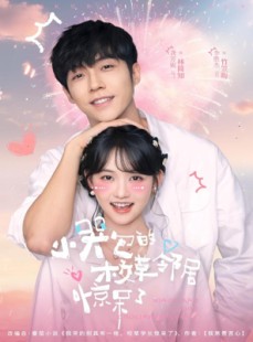 短剧《小哭包的校草邻居惊呆了》82集短剧全集解锁随心看