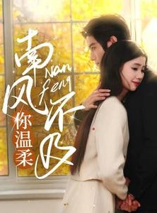 短剧《南风不及你温柔》74集短剧全集无广告流畅播放