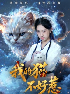 短剧《我的猫不好惹》42集短剧1080P在线免费看