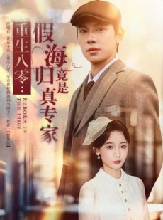 短剧《重生八零：假海归竟是真专家》65集短剧完整高清在线观